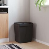 vidaXL Dvojni smetnjak antracit 2x25 L | Shoptok.si