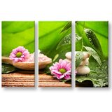  Slike na platnu feng shui | ePonuda.com