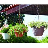 Artevasi Plastična posuda za cvijeće ø 31 cm Algarve – | shoptok.hr