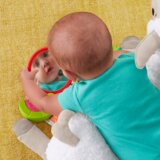 Fisher Price Fisher-Price Podloga za igru ljama | shoptok.hr