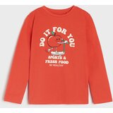 Sinsay majica dugih rukava s printom za dječake 6840Y-32X | shoptok.hr