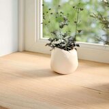 vidaXL Prozorske klupice 2 kom 140x25x2 cm netretirane masivne hrast | shoptok.hr