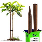KADAX leseni koli, naostreni, impregnirani koli 120 cm, podporna palica Fi 28 mm, 5 kosov, (5000362361) | Shoptok.si