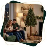  CT0273 ŠKOTSKI BOR NA DEBLJU 180 CM | shoptok.hr