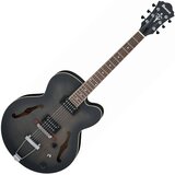 Ibanez Električna gitara AF55-TKF | Eponuda.com