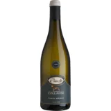 Pinot grigio belo vino