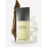 Issey Miyake L´Eau D´Issey pour homme toaletna voda 200 ml za moške | Shoptok.si