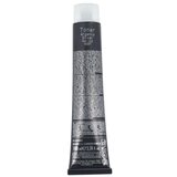 Inebrya Color Toner Silver barva za lase sivi lasje pobeljeni lasje 100 ml unisex | Shoptok.si