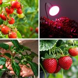 LED sijalica za rast biljaka PLANTY E27/9W/230V 1200K bela | Eponuda.com