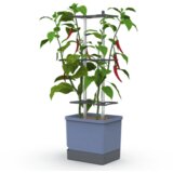 Gusta Garden CHARLY CHILI XL - modra | Shoptok.si