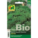 Bio peteršilj "Mooskrause 2"