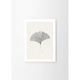 The Poster Club Plakat 50x70 cm Ginkgo Leaf – Ana Frois – | shoptok.hr