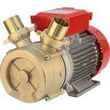 Rover Italija Rover BE-M 50 Bronza Električna pumpa Cene