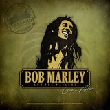 POSNETI MEDIJI MARLEY B. & THE WAILERS - LP/LIVE 'N KISKIN' YELLOW, (20871192) | Shoptok.si