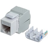  RJ45 Intellinet 167062 Cat6/tool-less/568B 2-1/beli modul | ePonuda.com