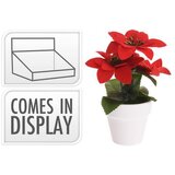  BOŽIĆNA ZVIJEZDA | Eponuda.ba