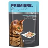 Premiere Cat Filets tuna i lignje 100 g vrećica | shoptok.hr