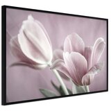  Poster - Pastel Tulips I 30x20 | shoptok.hr
