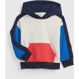 GAP Kids Hoodie - Boys Cijene