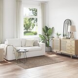 vidaXL preproga Rjava Polipropilen 120 x 170 cm Preproga Pravokotna Cene