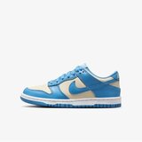 Nike patike za dečake dunk low bg FB9109-400 | ePonuda.com