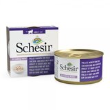 Schesir cat tunjevina i govedina u želeu, 85gr Cene