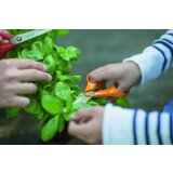 Fiskars univerzalne vrtne škarje classic 21cm (1001539) | Shoptok.si