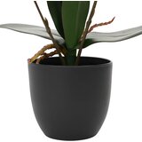  Umjetna orhideja Crvena 36 x 10 x 30 cm Tkanina, PE i PEVA | shoptok.hr