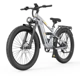 Električno kolo CF500, 27,5” 48V 20Ah, polno vzmetenje, srebrno, (5000232096)
