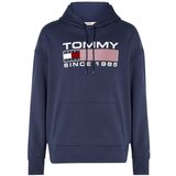 Tommy Hilfiger muški hoodie/dukserica DM0DM15009 C87 | shoptok.hr