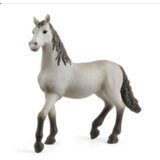  Pura Raza spansko zdrebe | Eponuda.com