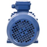  Trofazni električni motor aluminijski 2,2 kW / 3 KS 2840 o/min | shoptok.hr