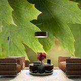  Tapeta - Leaves 300x231 Cijene