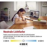  LED žarnica Filament Candle A CLASS/ E14 / 3,8 W (60 W) / 806 lm / nevtralno bela | Shoptok.si