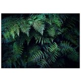 Samoljepljiva foto tapeta - In the Thicket 98x70 | shoptok.hr