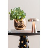Leitmotiv LED stolna lampa s mogućnosti zatamnjivanja u zlatnoj boji s metalnim sjenilom (visina 20,5 cm) Rachel – | shoptok.hr