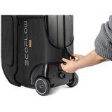 ECOFLOW 50034012 portable power station accessory Torba za prenašanje | Shoptok.si
