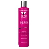 Šampon za obojenu kosu Young Y-Color Longevity – 300 ml Cijene