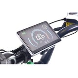 Capriolo E-BIKE E-RETRO 20'' 926815 | Eponuda.com