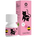 Apicat Gastro v prahu 15 g Cene