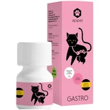 Gastro v prahu 15 g