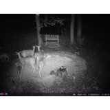 OXE Fotozamka Spider 4G i dalekozor za noćno gledanje DV29 + 32GB SD kartica, tronožac i 8 baterija! | shoptok.hr