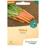 Bingenheimer Saatgut korenje, pozno "Rodelika" Cene