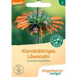  Drobno listnati levji rep | Shoptok.si