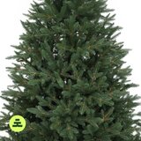 Můj Stromeček Umetna jelka višina 180 cm Canadian Spruce 3D – | Shoptok.si