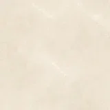 elegant beige 60x60 9mm R9