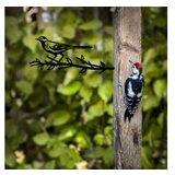 WALLXPERT decorative object figura bird on the branch 05 black | ePonuda.com