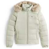 Tommy Jeans Zimska jakna mornarsko plava / pastelno zelena / crvena / bijela Cijene