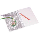 Blok KOLEGIJ A4 CRTE 80L PERFORACIJA PLUS 4RUPE ZENART PARROT BRUNNEN 10-67427 | shoptok.hr