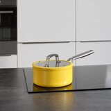 FABINI Aluminijast lonec s pokrovko in neprijemljivo površino za indukcijsko ploščo 2,4 l Meda 3.0 – | Shoptok.si